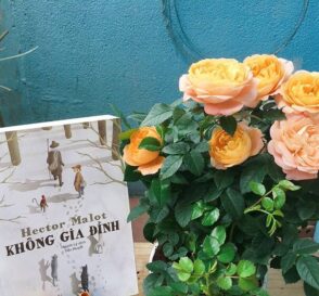 Không gia đình – cuốn sách tuyệt vời về tình yêu thương