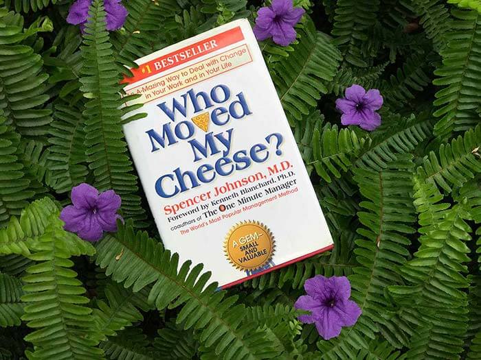Học từ vựng tiếng anh trong truyện Who moved my cheese (Phần 1)