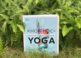 Khoa Học Về Hiểu Rõ Giải Phẫu Và Sinh Lý Học Cơ Thể Để Thực Hành Thành Thục Yoga – cuốn sách tuyệt vời cho mọi đối tượng thực hành yoga