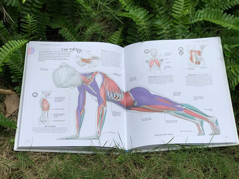 Sách Khoa học về yoga